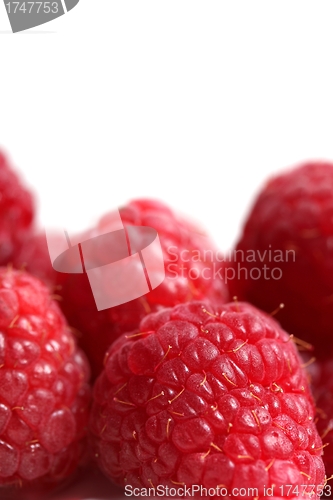 Image of raspberries