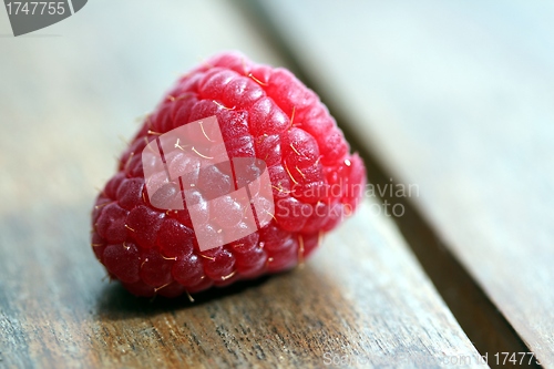 Image of raspberry