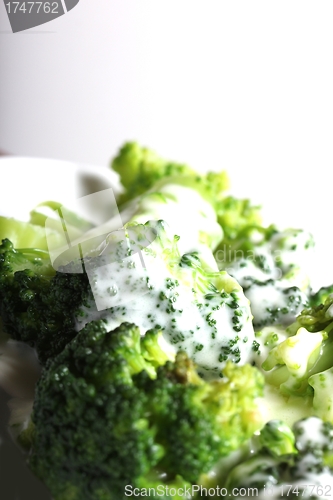Image of broccoli with a light sauce