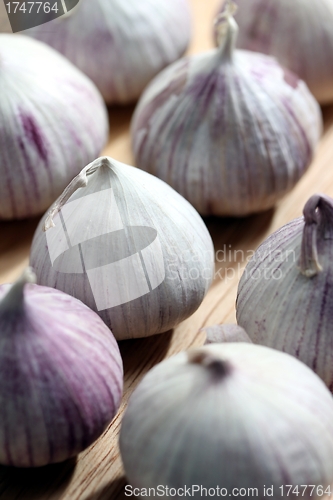 Image of fresh garlic bulbs