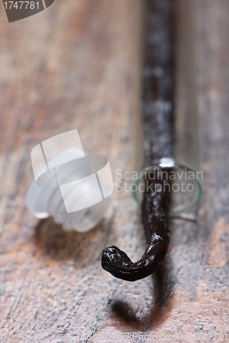 Image of bourbon vanilla pod