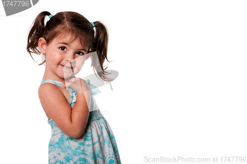 Image of Cute toddler girl with pigtails