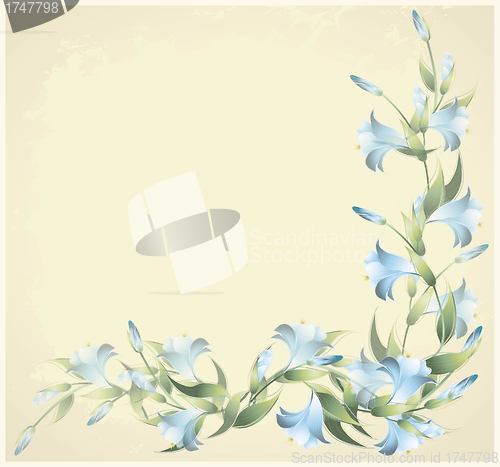 Image of Greeting card with a lily. Lily illustration.  Decorative framework with a lily.