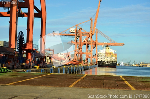 Image of Crane collapsed in Gdynia