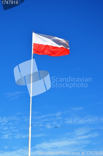 Image of Polish flag