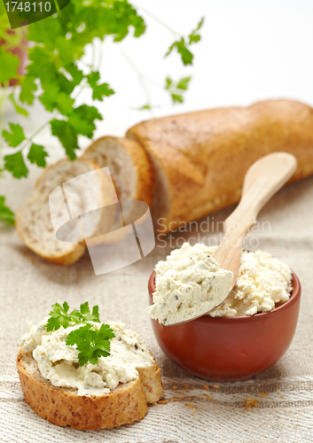 Image of fresh curd cheese