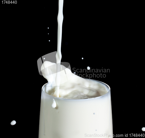 Image of Pouring Milk in Glass