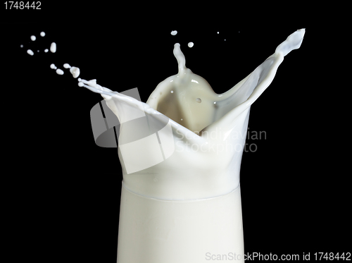 Image of Milk with Splash in Glass, on black background