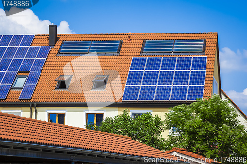 Image of solar plant