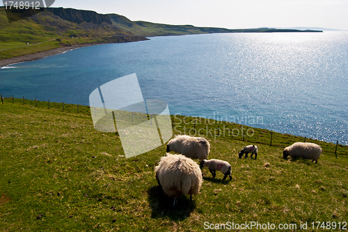Image of Isle of Skye