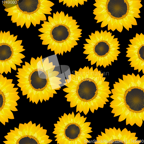 Image of Sunflowers pattern