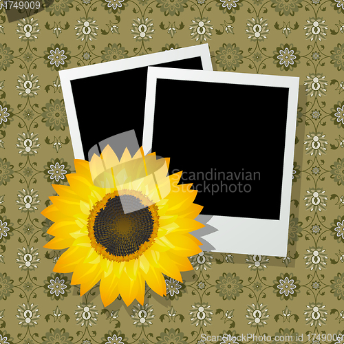 Image of Photo frames with sunflower