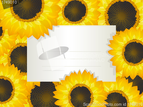 Image of Sunflowers card