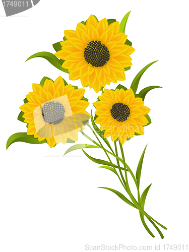 Image of Sunflowers