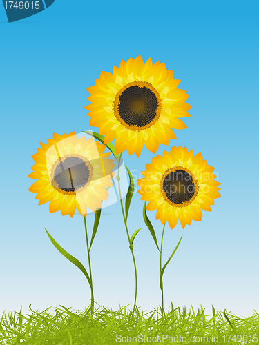 Image of Summer card with sunflowers