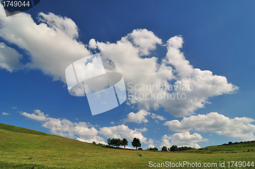 Image of Field and sky