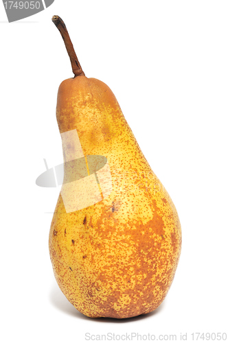 Image of Pear fruit