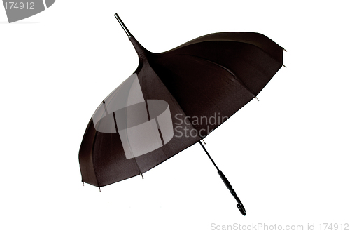 Image of Black umbrella