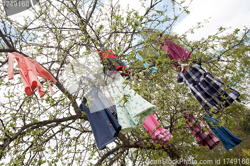 Image of tree of dresses