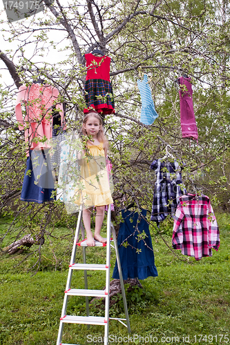 Image of magic harvest of dresses