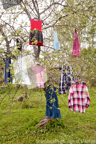 Image of dress tree