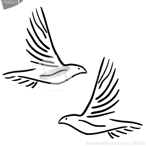 Image of Set of white vector doves.