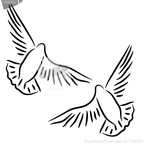 Image of  Set of white vector doves.