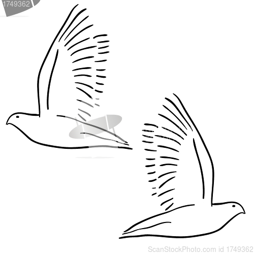 Image of Concept of love or peace. Set of white vector doves.