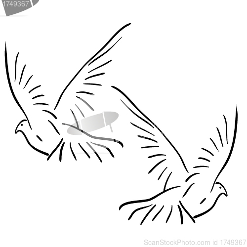 Image of Set of white vector doves.