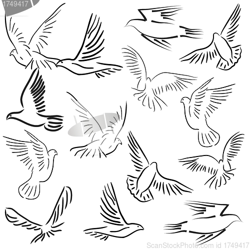 Image of Set of white vector doves.