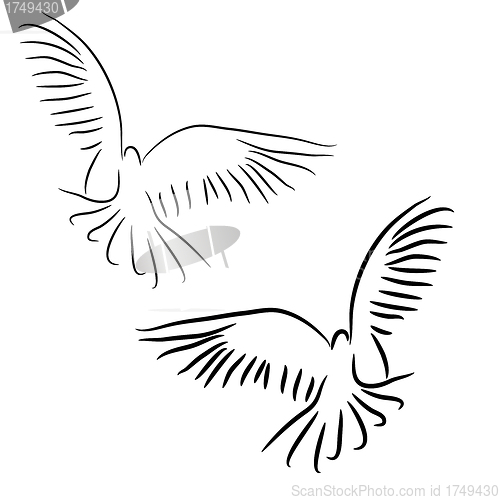 Image of Set of white vector doves.