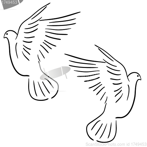 Image of Set of white vector doves.