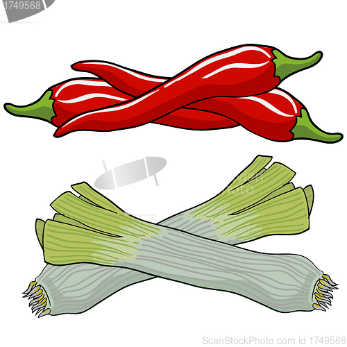 Image of leek and red pepper, vector illustration.