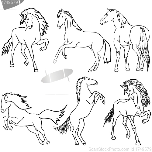 Image of Vector set. Black horse silhouette isolated on white for design.