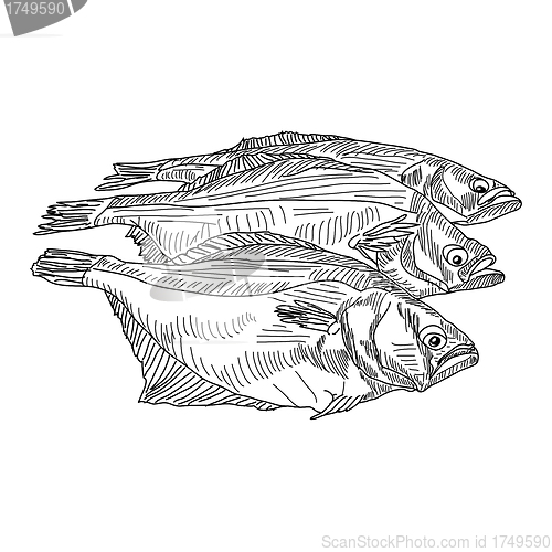 Image of vector drawing hand fish