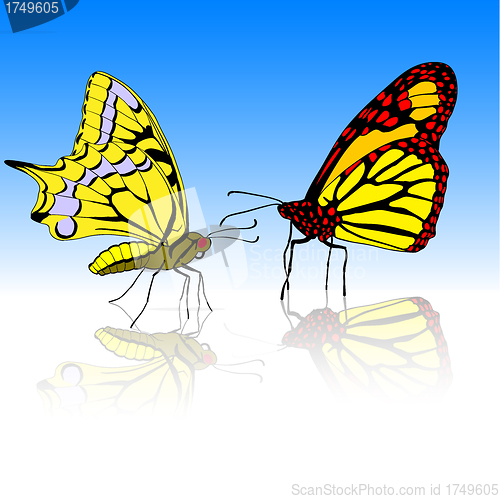 Image of Beautiful tropical butterfly. Vector illustration.