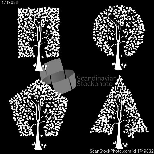 Image of Trees of different geometric shapes. 