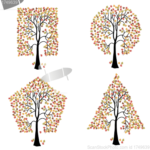 Image of Trees of different geometric shapes.