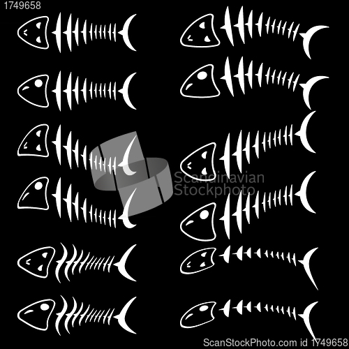 Image of A set of fish skeletons. 