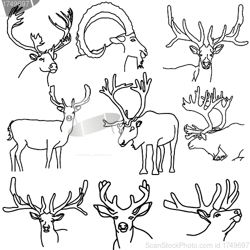 Image of A set of deer, elk, and goats