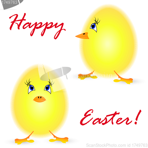 Image of Small fluffy chickens on a white background