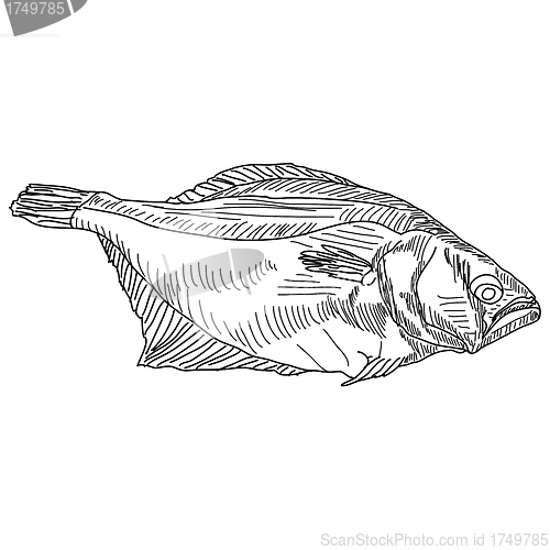 Image of vector drawing hand fish