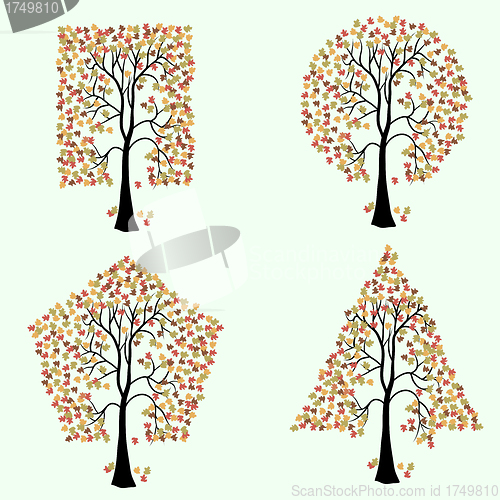 Image of Trees of different geometric shapes. 