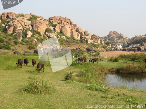 Image of scenery around Hampi