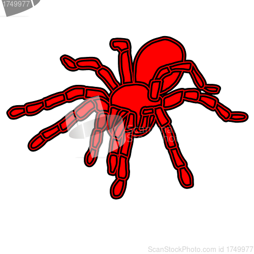 Image of Tattoo of black widow isolated on white background.