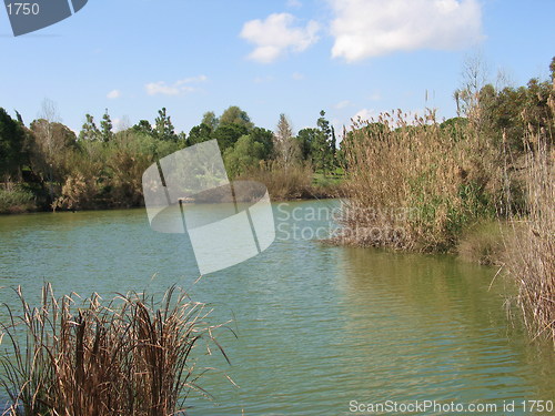 Image of Urban lake. Nicosia. Cyprus