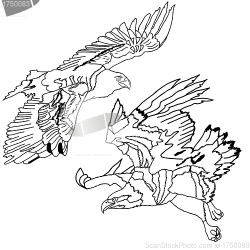 Image of Eagles symbols and tattoo, vector illustration.