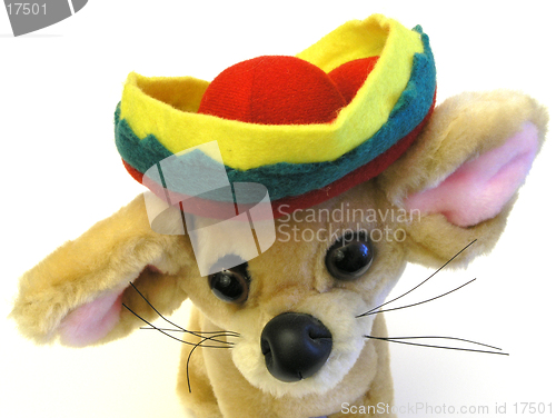 Image of Mexican Pup