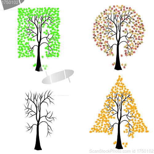 Image of Trees of different geometric shapes. 