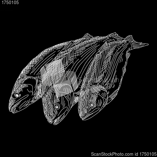 Image of vector drawing hand fish